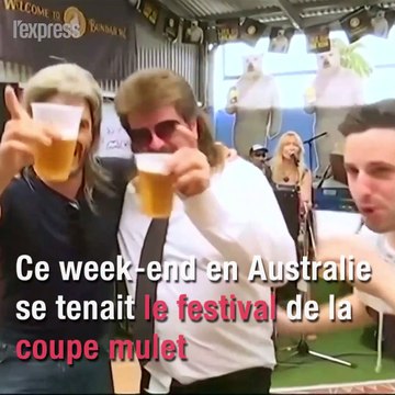 En Australie, on célèbre la cultissime coupe mulet