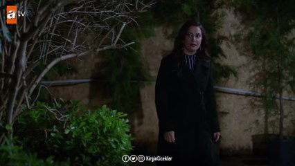 Ali arabanın peşinde! - Kırgın Çiçekler 111.Bölüm