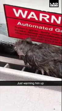 Ces ouvriers trouvent un rat frigorifié et le réchauffent dans leur camion