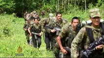 FARC weighs peace talks as it turns 50