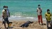 Libya rescues migrants' bodies drowned in sea
