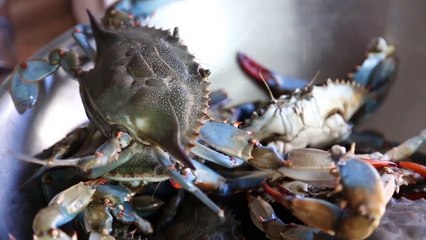 Michel Roux Makes Scrambled Eggs with Crab