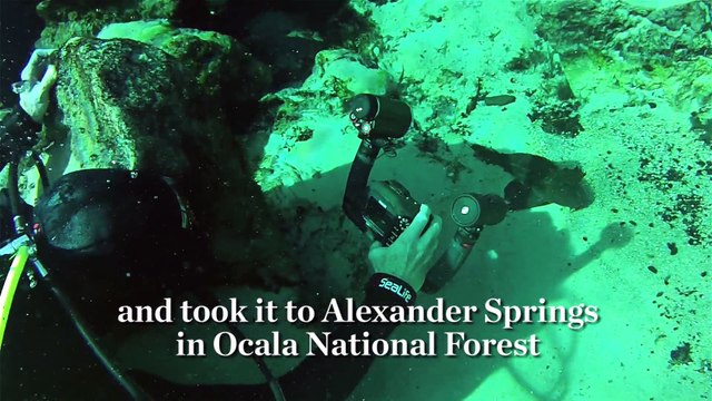 Trying Out the SeaLife DC2000 Underwater Camera