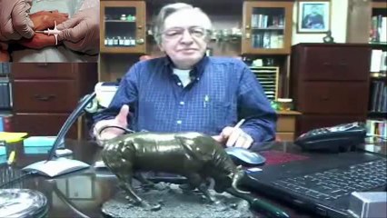 O Microchip quase foi Obrigatório nos EUA em 2013