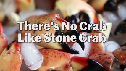 There's No Crab Like Stone Crab