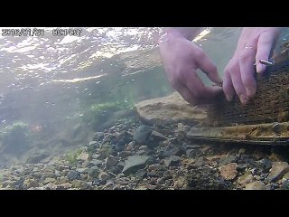 Ouverture boite alevibox