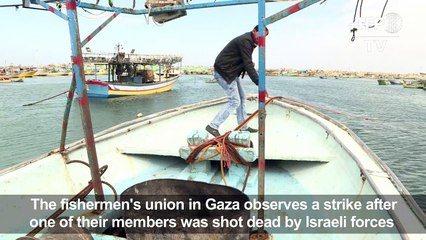 Gaza fishermen on strike after Israel forces shoot fishing boat