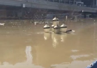 Скачать видео: Louisville Metro Police Survey Ohio River Flood Damage