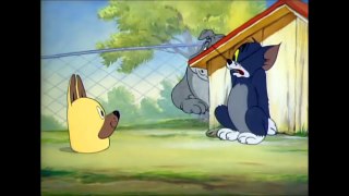 Tom and Jerry, 16 Episode - Puttin' on the Dog (1944)