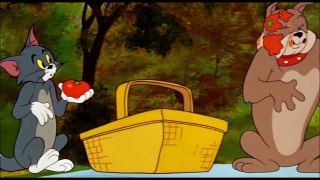 Tom and Jerry, 91 Episode - Pup on a Picnic (1955)