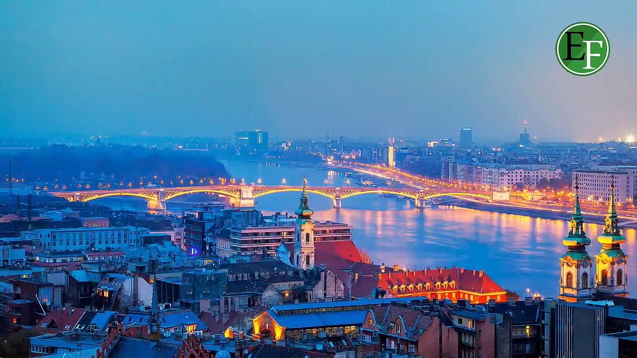 أضخم 5 كلاب حراسة في العالم، لن تصدق حجمها الحقيقي