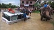 Elephants rescue tourists in flood-hit Nepal