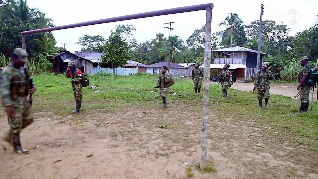 ELN cessará de operações militares