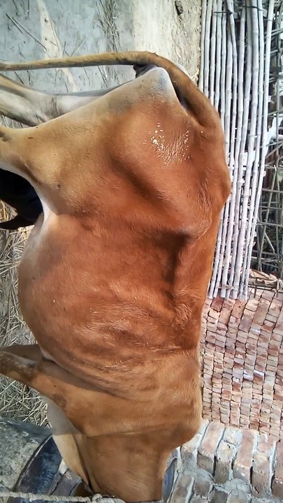 VID_20180223_104743