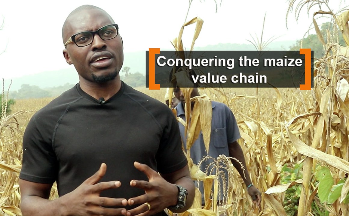 Cameroon: Conquering the maize value chain