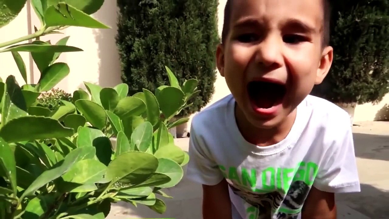 كريزي طفل والعنكبوت العملاق .. اضحك وتعلم الالون اغاني الاطفال جوني جوني نعم بابا - crazy boys