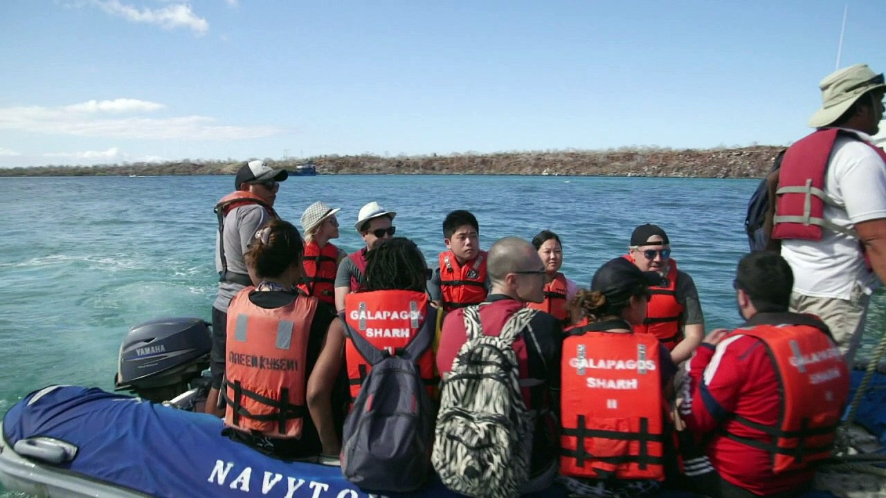 Galápagos: Touristen bedrohen das Inselparadies
