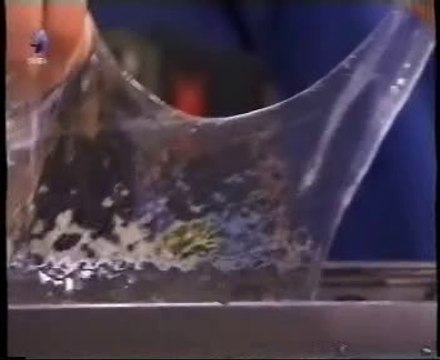 Mucina (Biomaterial): Anguilas del limo