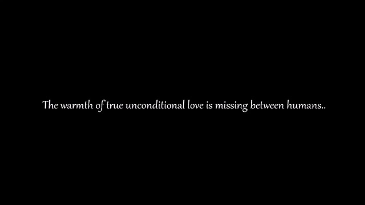 The Missing Ingredient In Everything