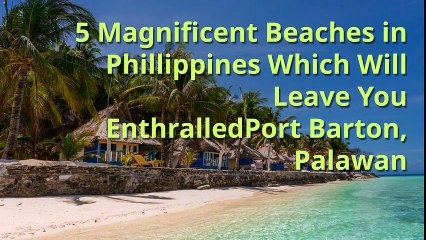 5 Magnificent Beaches in Philippines Which Will Leave You Enthralled