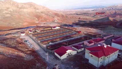 Sivas'a 5 Yıldızlı Hayvan Barınağı