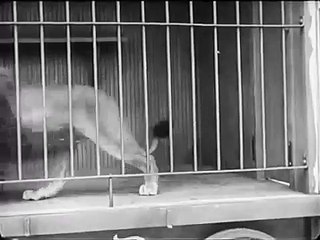 charlie chaplin best popular video bangla dubbing funny video