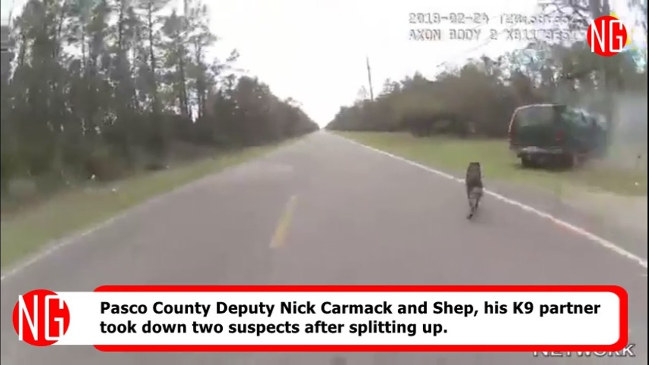 Police & K9 Partner Split Up To Catch Two Suspects