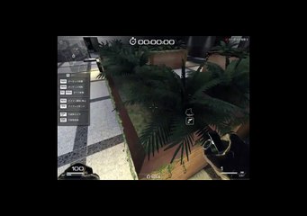 SF2 スカイラインバグ