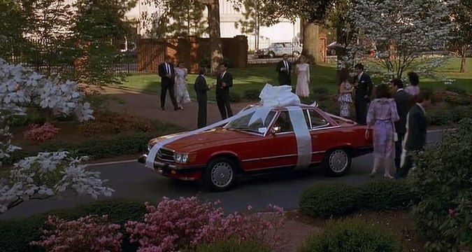 Ce Cher Intrus 1991 TRUE FRANÇAİS Pt 02