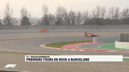F1 - La sortie de piste de Fernando Alonso