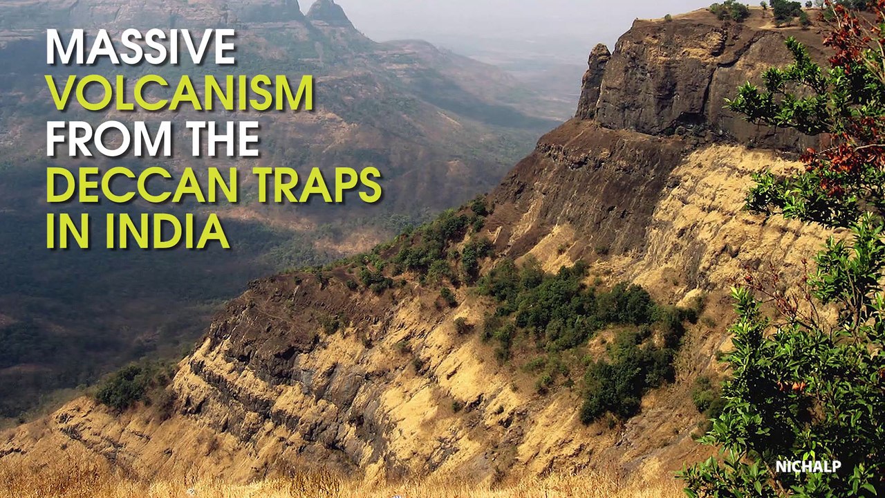 What Really Killed The Dinosaurs?