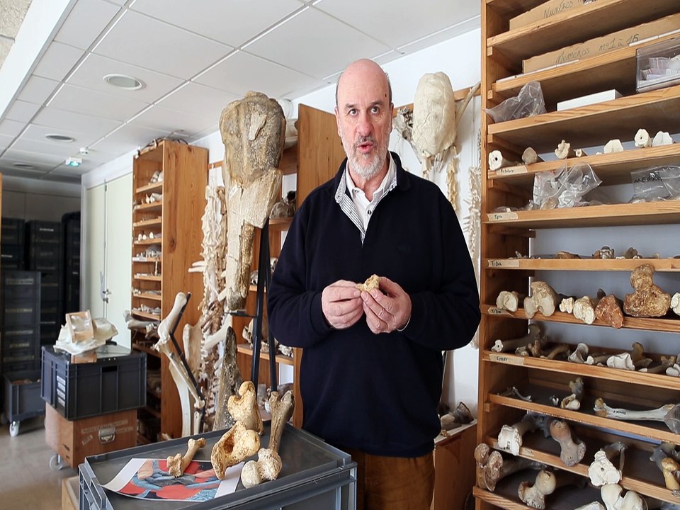 Affaire Seznec : les ossements retrouvés sont des ossements de bovidé affirme un scientifique d'Angoulême