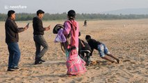 Tourists toy with sea turtles for selfies in India
