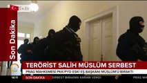 Teröristbaşı Salih Müslüm serbest bırakıldı