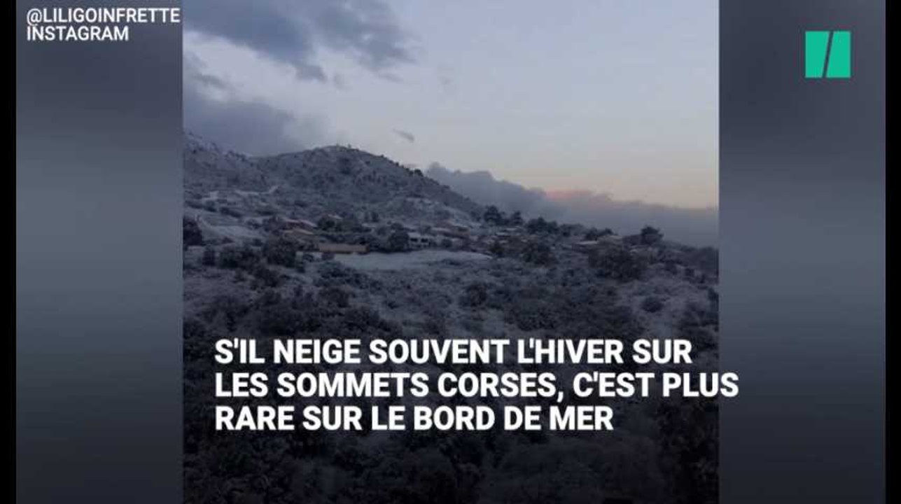 Les images de la baie d'Ajaccio, qui s'est réveillée sous la neige