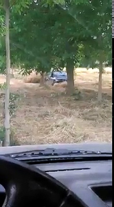 BMW agro power