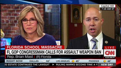 Republican calls BS on NRA's Dana Loesch for claim women need AR-15s for defense: