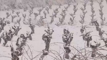 Toda España en alerta por nieve, lluvia y frío