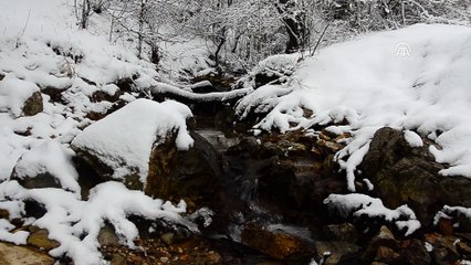 Kar yağışı - KIRKLARELİ