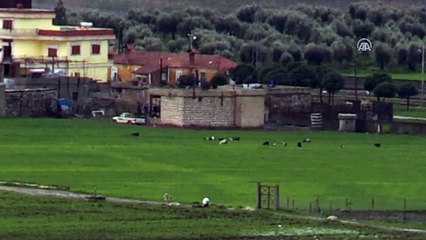 Sınır hattında askeri hareketlilik sürüyor - KİLİS