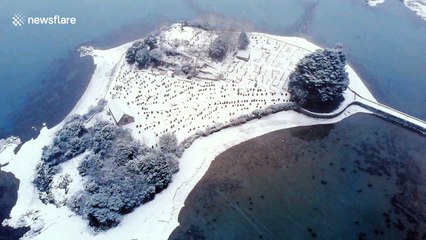 Drone footage captures North Wales landmark under snow