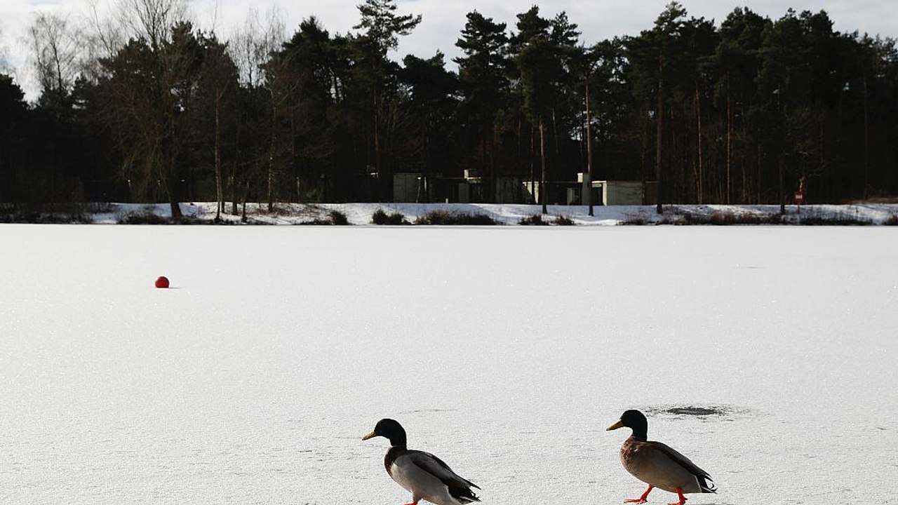 'The Beast from the East': Frostiges Wetter dauert an