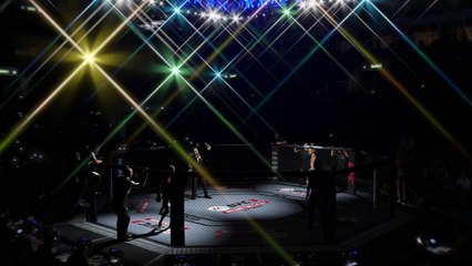 Ufc 2 -Aldo vs Holloway(Nivel hard) Nocaute