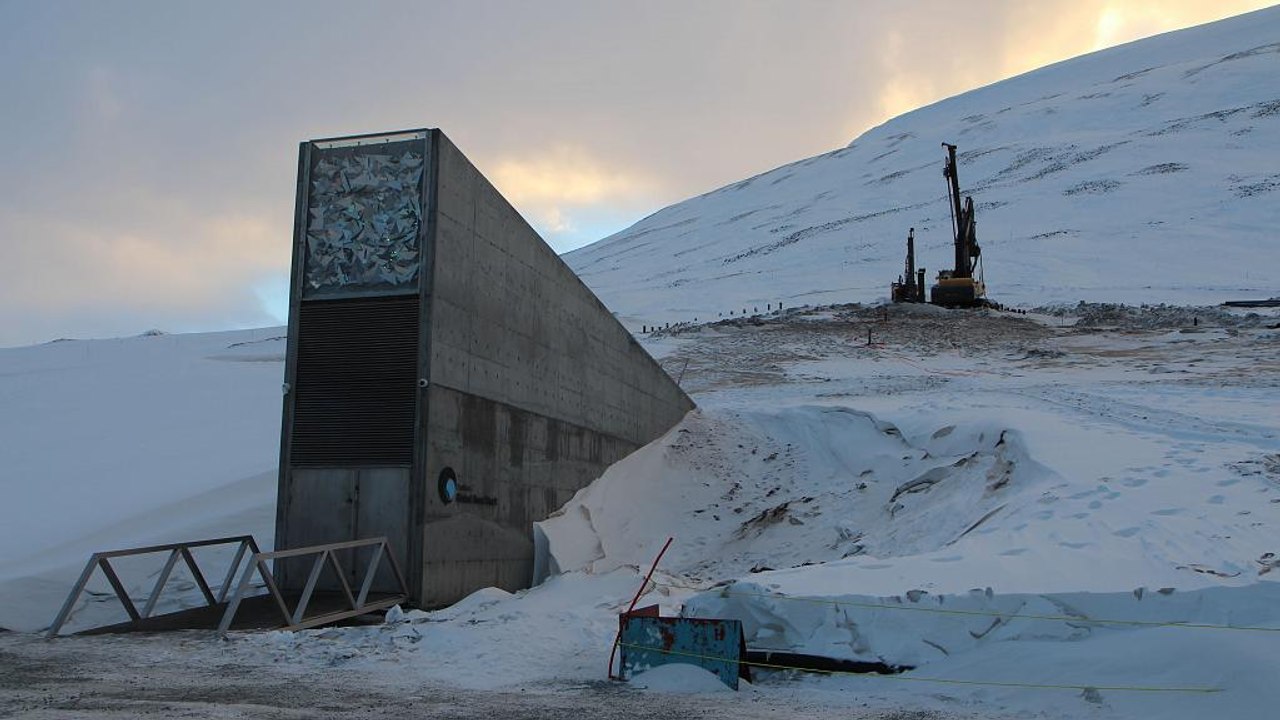Portugal envia sementes de milho para a "Arca de Noé" norueguesa