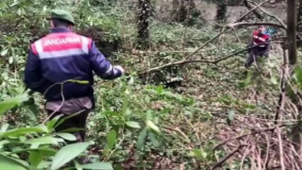 49 gündür kayıp olan yaşlı adam ormanlık alanda arandı