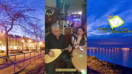 Leylim Ley - Taceddin ÖZCAN