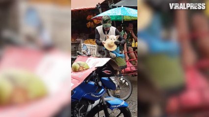 Cyclist Wraps Dog In Coat And Hat During Rain