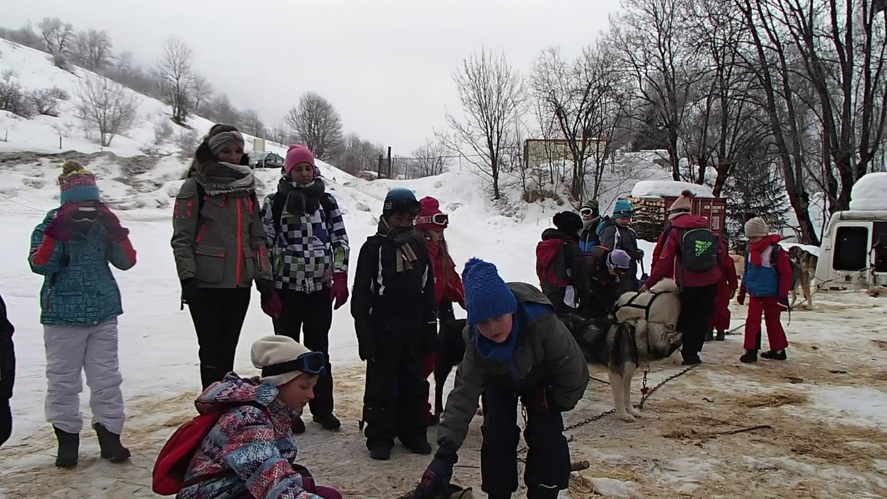 Chiens de Traineaux à St Jean d'Arves