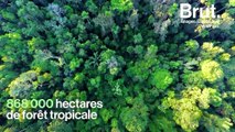 Le parc national de Yaguas, le nouvel havre de paix du Pérou
