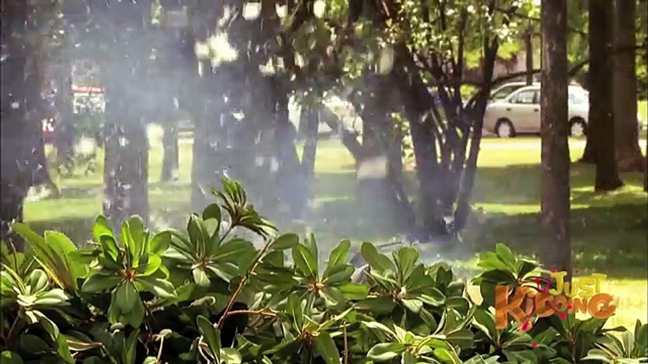 Accidental Pigeon Shooting Prank! - Just Kidding